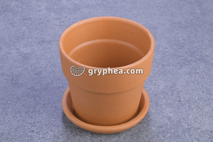 Pot de fleur vide - gryphea.org